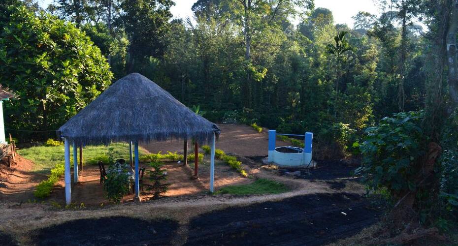 Pepper Trial Budget Homestay, Coorg 4